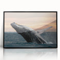 Framed wall art featuring a striking black and white whale design, showcasing intricate marine life details, ideal for coastal or ocean-themed decor.