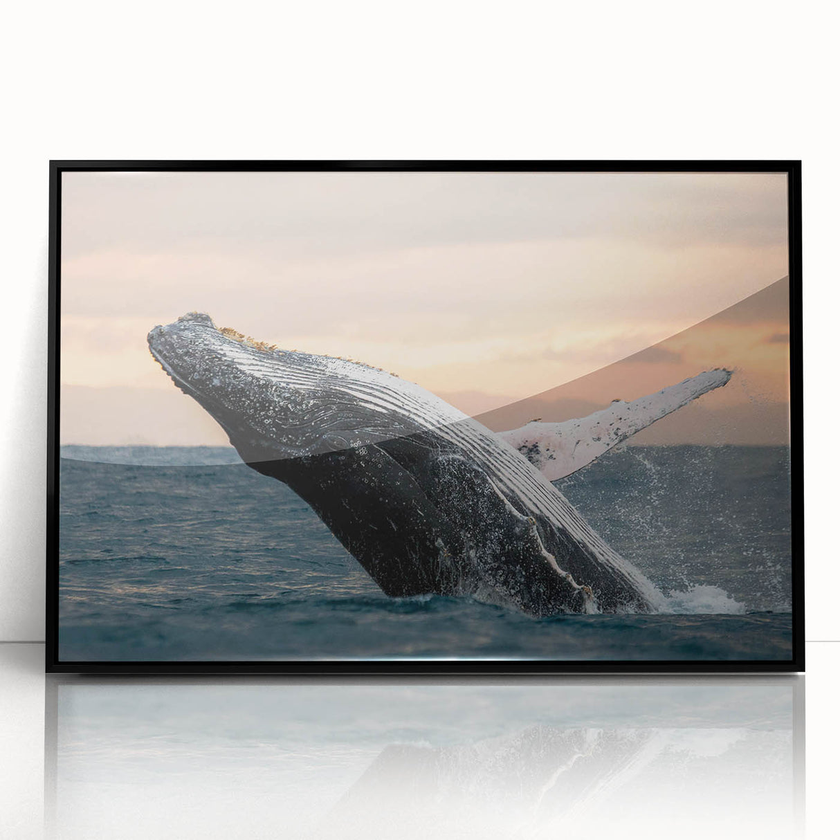 Framed wall art featuring a striking black and white whale design, showcasing intricate marine life details, ideal for coastal or ocean-themed decor.