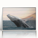 Framed acrylic wall art featuring a stunning marine life design of a whale, showcased in a sleek white frame, ideal for ocean-themed decor. Perfect for adding a touch of tranquility to any space.