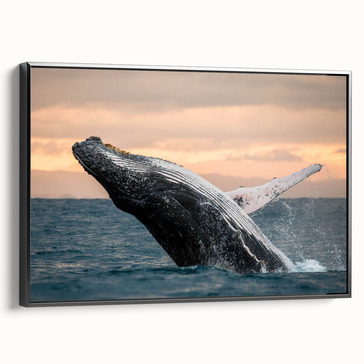 Framed canvas wall art featuring a detailed design of a marine life whale, showcasing vibrant colors against a black background, ideal for ocean-themed decor.
