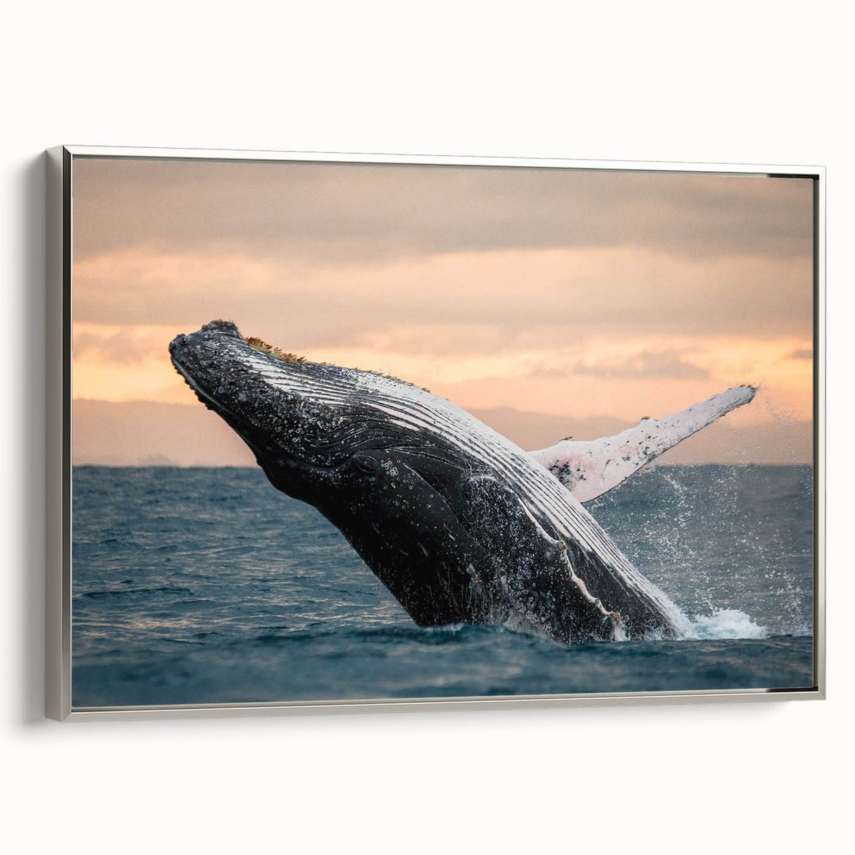Framed wall art featuring a stunning silver whale design, showcasing intricate marine life details against a textured canvas backdrop, ideal for ocean-themed decor.