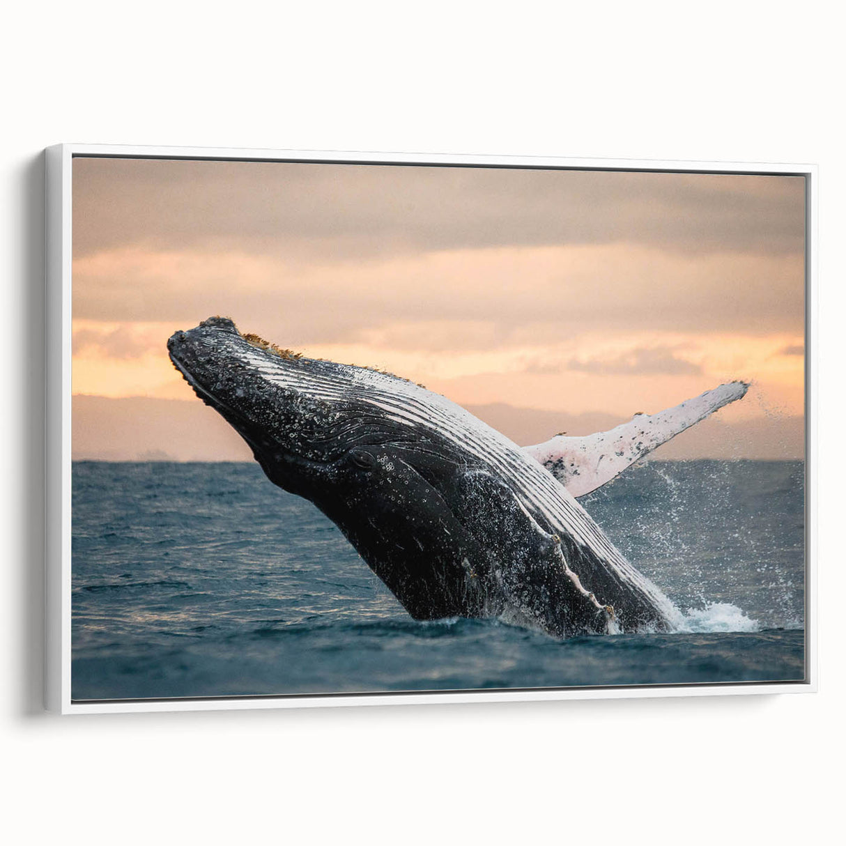 Framed canvas wall art featuring a serene marine life design showcasing a whale in shades of blue and white, ideal for ocean-themed decor.