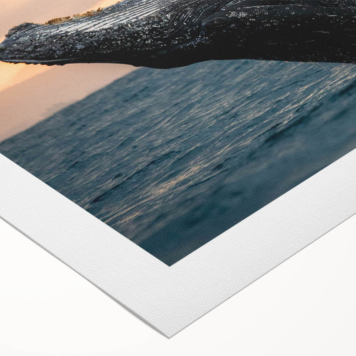Whale-themed wall art design on rolled canvas, showcasing vibrant marine life colors and intricate details, perfect for ocean lovers' home decor.