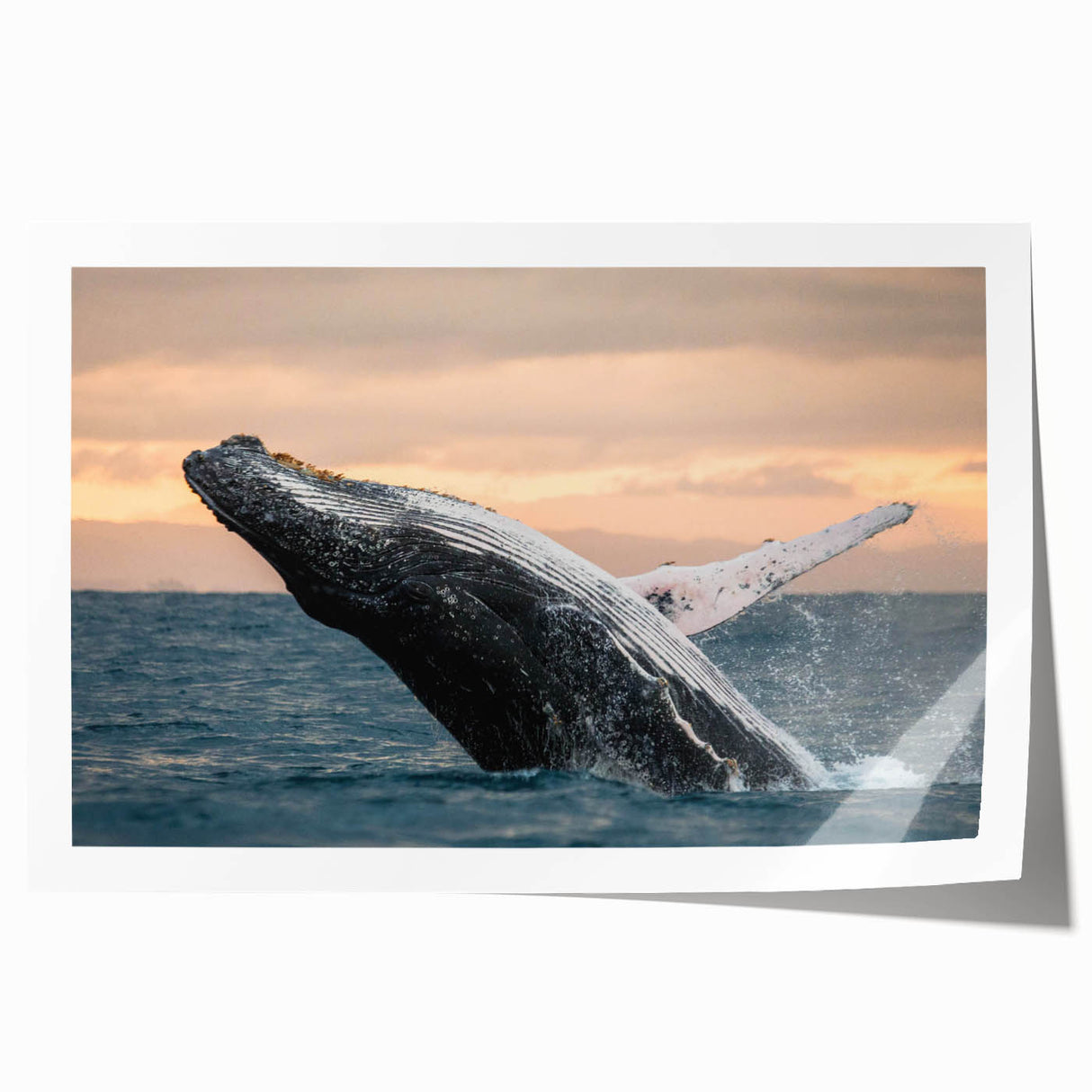 Whale-themed wall art print showcasing vibrant marine life in rich blues and greens, designed for ocean lovers and home decor enthusiasts. Ideal for aquatic-themed interiors.