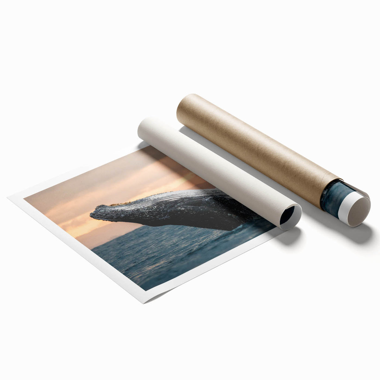 Whale-themed wall art print showcasing intricate marine life designs in vibrant blues and greens, rolled up for shipping in a protective cardboard tube. Perfect for ocean lovers and nautical home decor enthusiasts.