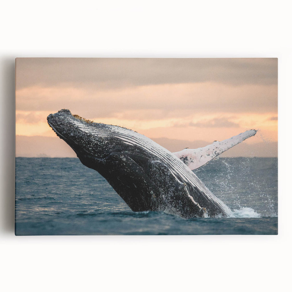 Front view of a stretched canvas wall art featuring a vibrant marine life design with a majestic whale, perfect for ocean-themed decor. The artwork showcases rich colors and intricate details, ideal for enhancing any space with a nautical touch.