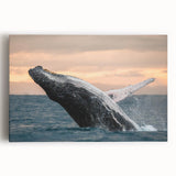 Front view of a stretched canvas wall art featuring a vibrant marine life design with a majestic whale, perfect for ocean-themed decor. The artwork showcases rich colors and intricate details, ideal for enhancing any space with a nautical touch.