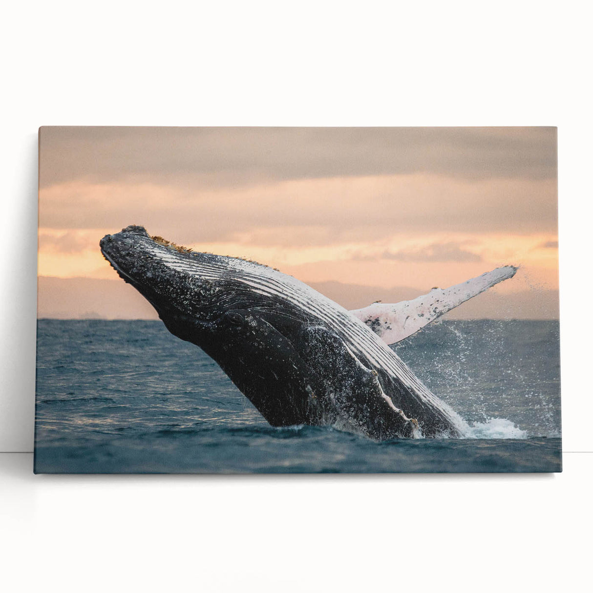 Stretched canvas wall art depicting a majestic blue whale swimming through vibrant marine life, perfect for ocean-themed decor. Ideal for nature lovers and ocean enthusiasts.