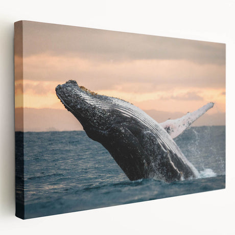 Stretched canvas wall art showcasing a vibrant marine life design featuring a majestic whale, perfect for coastal-themed decor, highlighting blues and greens.