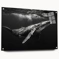 Acrylic wall art collection showcasing a vibrant marine life whale design in side view, featuring intricate details and color variations, mounted with pins for display.