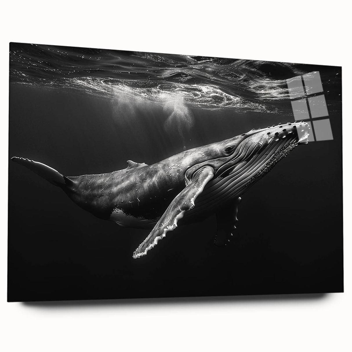 Acrylic glass wall art featuring a stunning marine life design showcasing a whale, displayed in a side view. Ideal for ocean-themed decor, this vibrant piece adds elegance and a touch of nature to any space.