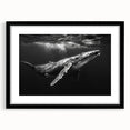 Black-framed wall art featuring a marine life design of a whale, showcasing intricate details and vibrant colors, perfect for ocean-themed decor.
