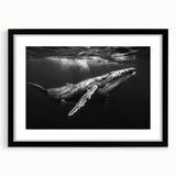 Black-framed wall art featuring a marine life design of a whale, showcasing intricate details and vibrant colors, perfect for ocean-themed decor.