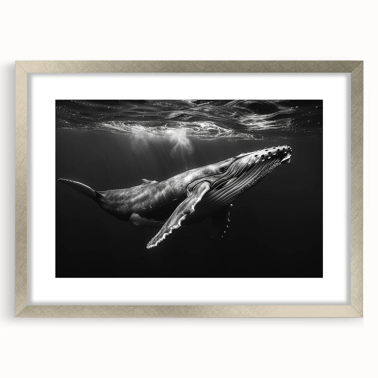 Framed marine life wall art featuring a majestic whale design in a sleek silver frame with a mat, perfect for ocean-themed home decor. Ideal for nature lovers.