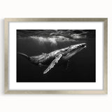 Framed marine life wall art featuring a majestic whale design in a sleek silver frame with a mat, perfect for ocean-themed home decor. Ideal for nature lovers.