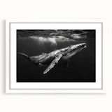 Framed wall art featuring a serene whale design, showcasing intricate marine life details in oceanic colors, perfect for enhancing coastal home decor.
