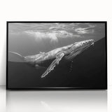 Framed acrylic wall art showcasing a detailed marine life design featuring a majestic whale, presented in a sleek black frame, ideal for ocean-themed decor.