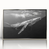 Framed wall art featuring a stunning design of a marine life whale, showcased in a sleek silver frame with acrylic glass, perfect for ocean-themed decor.