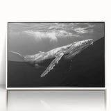 Framed acrylic wall art featuring a stunning marine life design with a whale illustration, set against a white background, perfect for ocean-themed decor.
