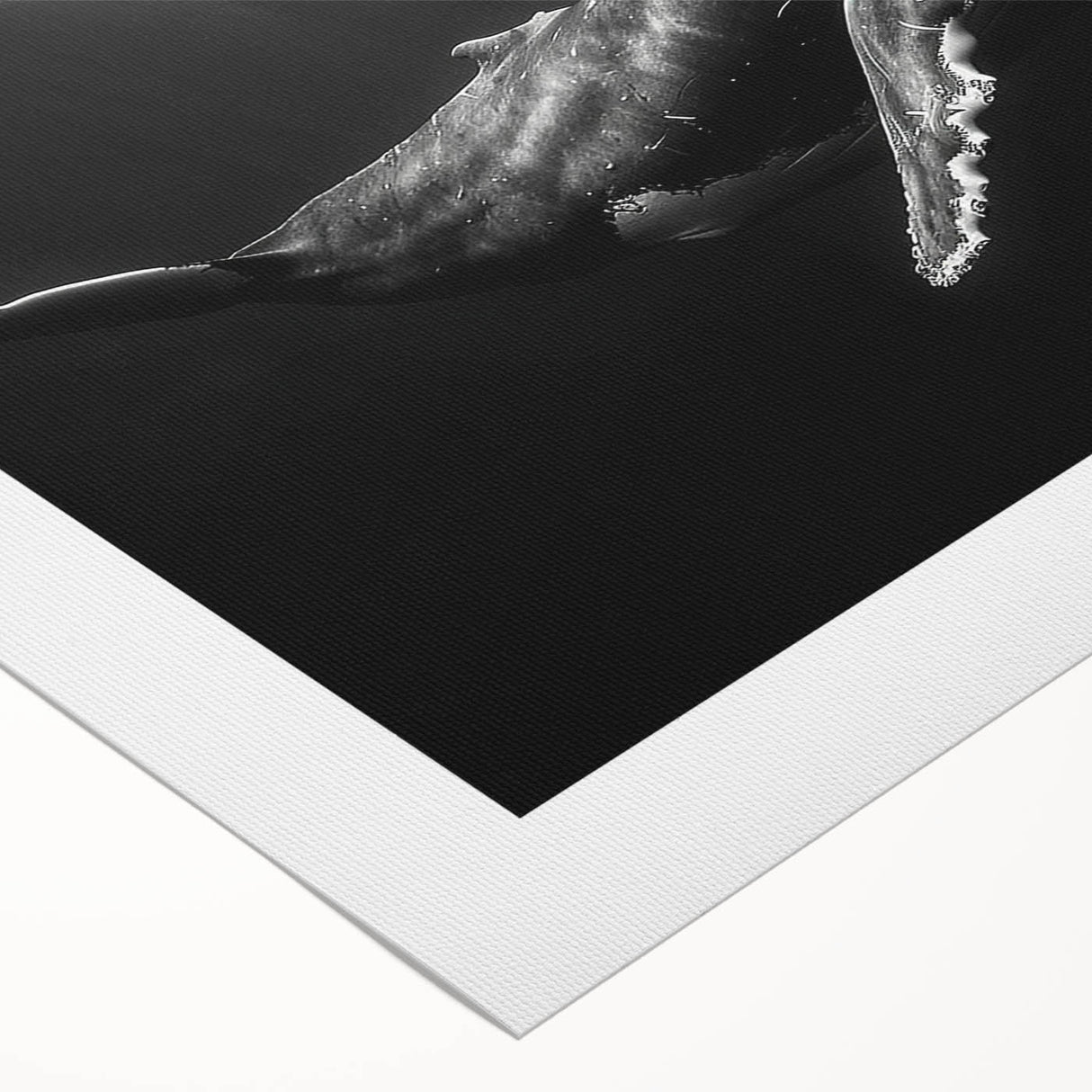 Vibrant rolled canvas art depicting a majestic blue whale swimming through colorful coral reefs, ideal for marine life enthusiasts and ocean-themed decor.