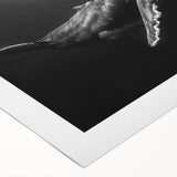 Vibrant rolled canvas art depicting a majestic blue whale swimming through colorful coral reefs, ideal for marine life enthusiasts and ocean-themed decor.