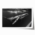 Vibrant marine life wall art featuring a majestic whale design, printed on high-quality canvas, showcasing intricate details and rich colors, perfect for ocean-themed decor.