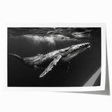 Vibrant marine life wall art featuring a majestic whale design, printed on high-quality canvas, showcasing intricate details and rich colors, perfect for ocean-themed decor.