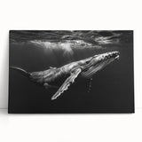 Stretched canvas wall art featuring a vibrant marine life design with a majestic whale, perfect for ocean-themed decor, showcasing rich colors and intricate details.