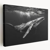 Stretched canvas wall art showcasing a vibrant marine life design featuring a majestic whale in a side view. Perfect for ocean-themed decor, this artwork brings a touch of the sea into any room with its vivid colors and detailed illustration. Ideal for marine enthusiasts and eco-conscious homes.