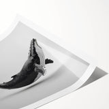 Whale-themed wall art print featuring a vibrant marine life design with shades of blue and green, rolled and ready for display in a protective tube. Ideal for ocean lovers.