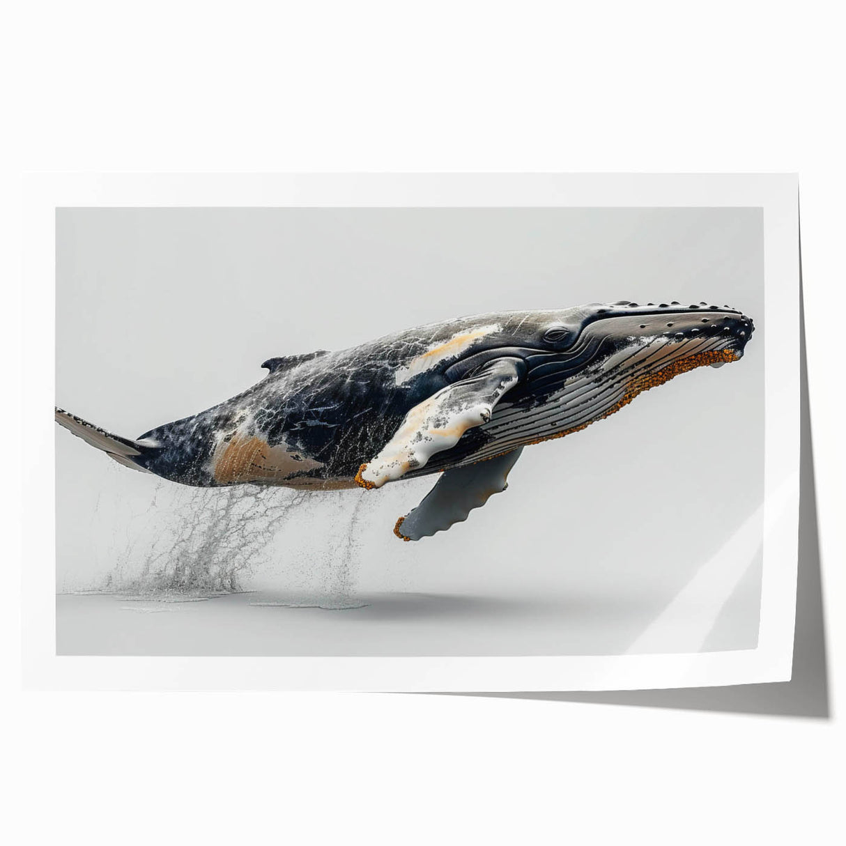 Stunning rolled print of marine life wall art showcasing a vibrant whale design, perfect for ocean-themed decor, packaged securely for delivery.