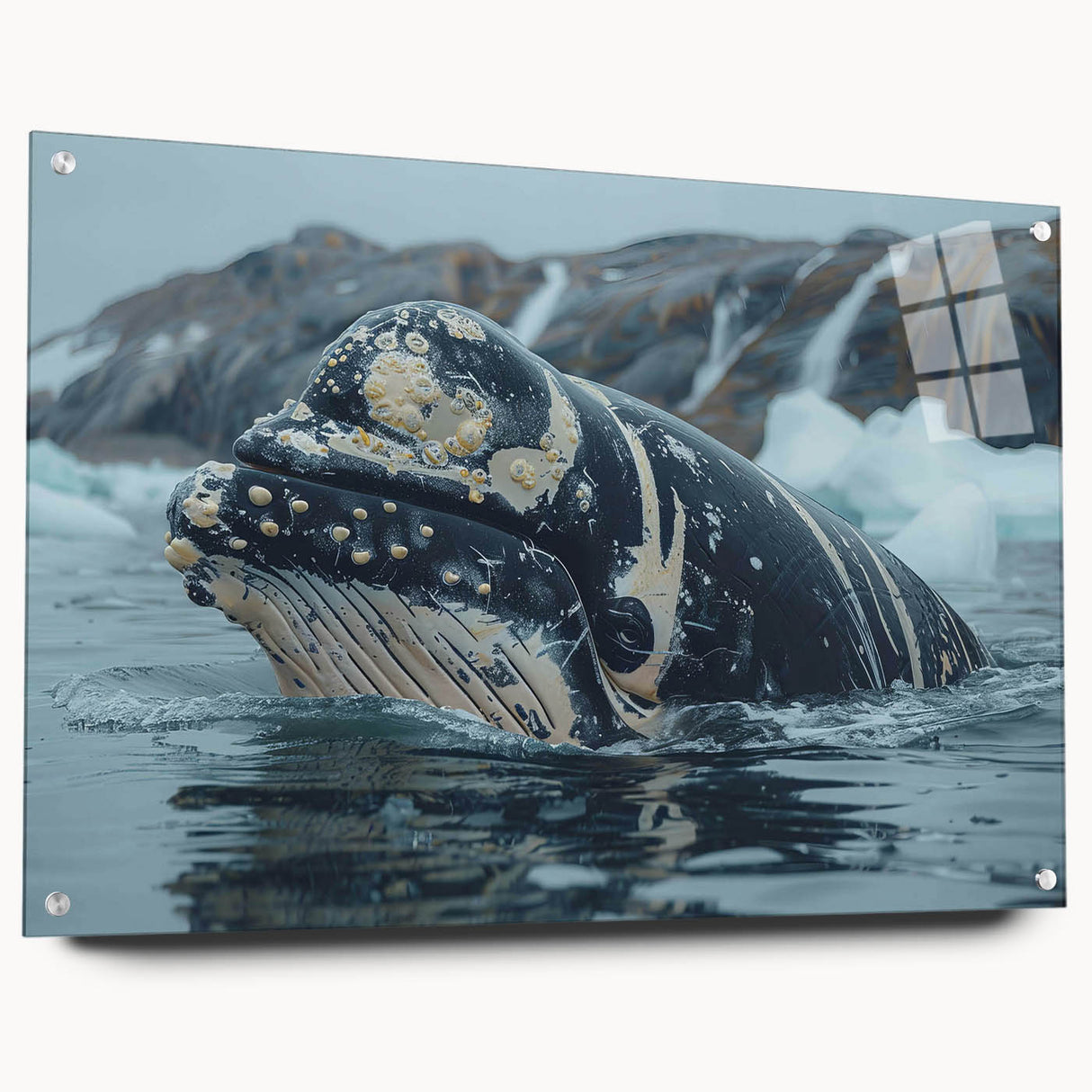Acrylic wall art featuring a vibrant marine life design with a whale, displayed in a sleek glass frame, showcasing colorful ocean elements and intricate details.