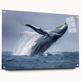Vibrant marine life wall art collection featuring a side view of a whale design printed on acrylic glass, showcasing intricate details and vivid colors, perfect for ocean-themed decor.