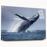 Vibrant marine life wall art collection featuring a side view of a whale design printed on acrylic glass, showcasing intricate details and vivid colors, perfect for ocean-themed decor.