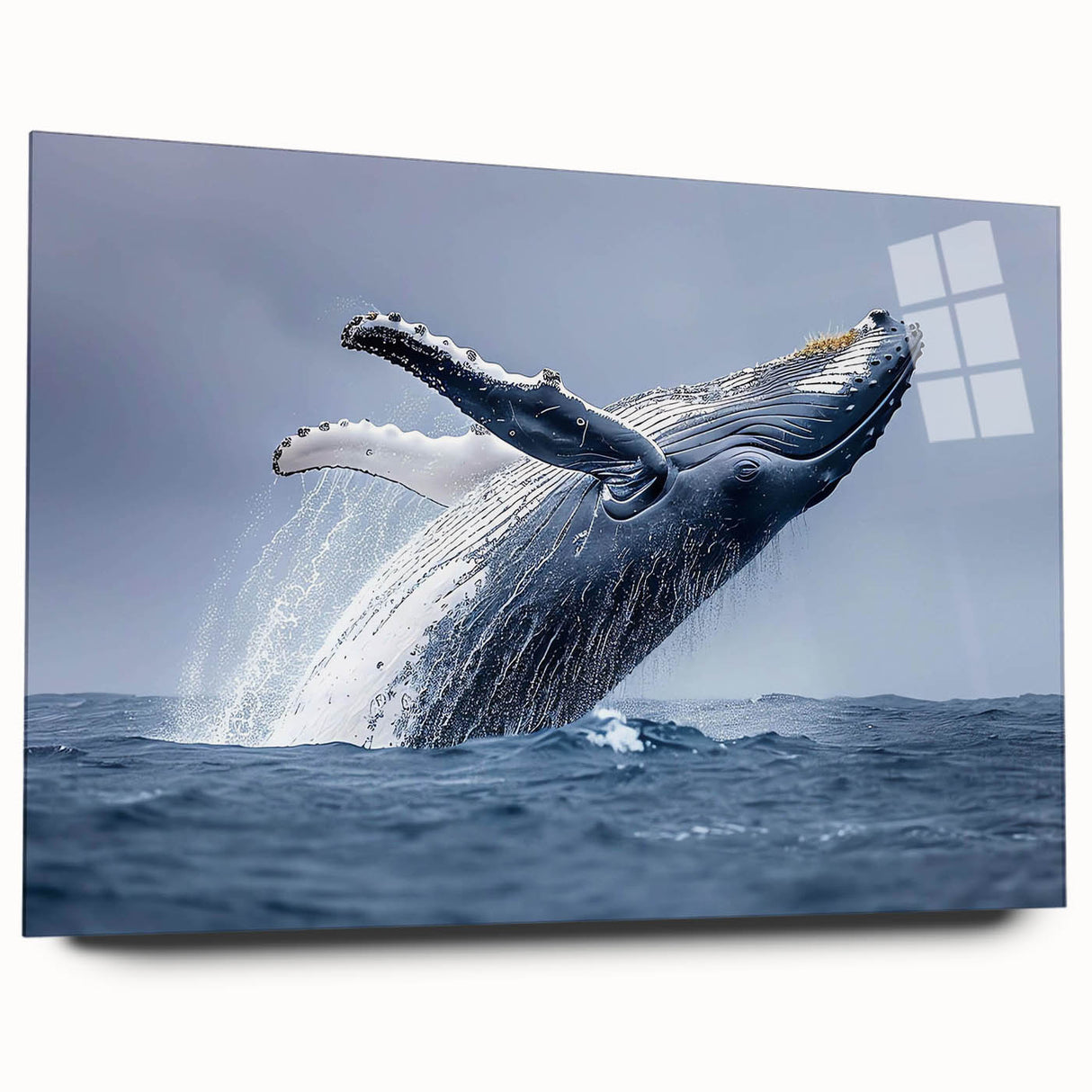 Acrylic wall art collection showcasing a detailed side view of a whale design, featuring vibrant blues and greens, perfect for marine life enthusiasts.