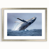 Framed wall art collection featuring a stunning marine life whale design with a silver mat, showcasing vibrant colors and detailed textures, ideal for ocean-themed decor.