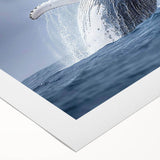 Whale-themed rolled canvas wall art featuring vibrant marine life design, showcasing intricate details and colors, perfect for ocean lovers and home decor enthusiasts.