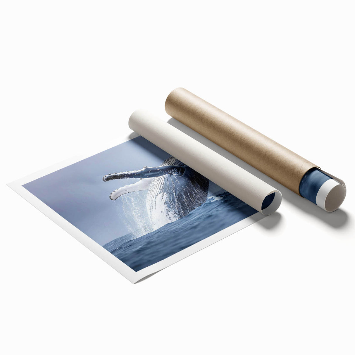 Vibrant rolled print showcasing an artistic whale design, highlighting marine life in bold colors, perfect for ocean-themed decor and nature enthusiasts.