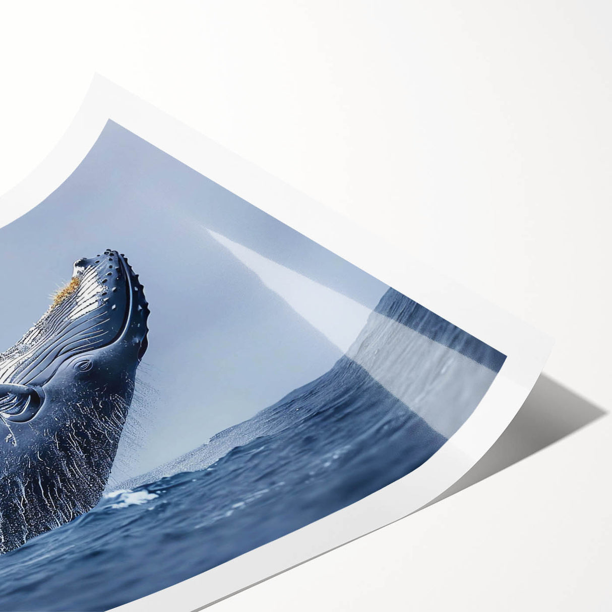 Vibrant rolled print showcasing a detailed whale design in a marine life theme, ideal for ocean enthusiasts, packaged securely in a protective tube.