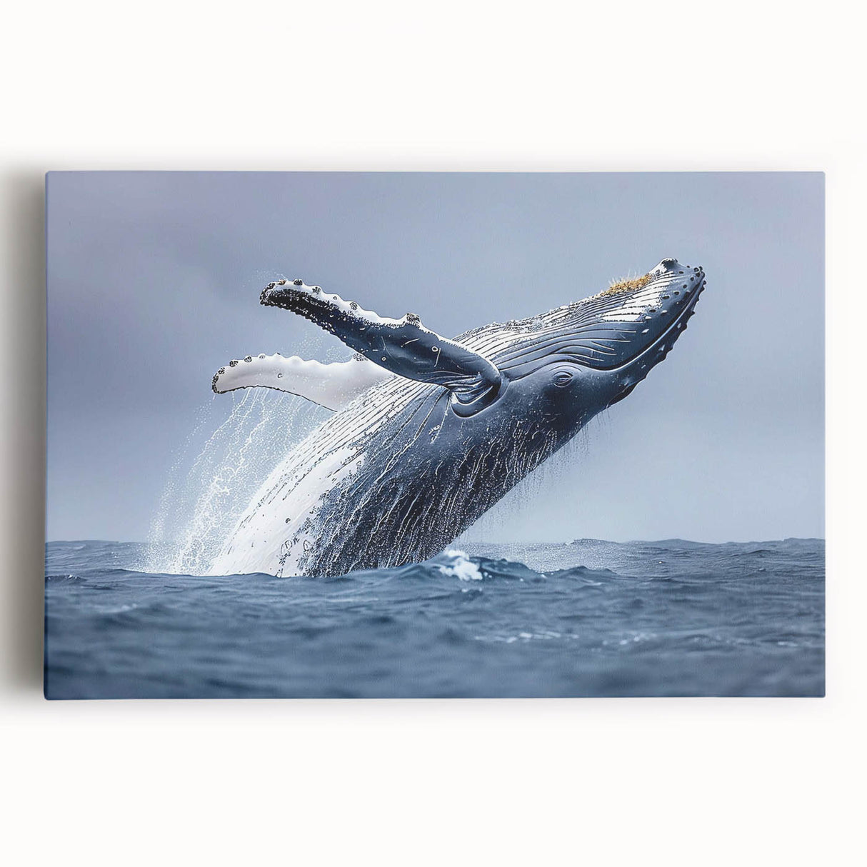 Stretched canvas wall art showcasing a vibrant marine life design featuring a majestic whale, perfect for ocean-themed decor in homes or offices.