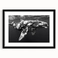 Framed wall art featuring a stunning marine life design showcasing a whale, with a black frame and mat, perfect for ocean-themed decor in modern interiors.
