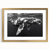Framed wall art featuring a stunning marine life design with a whale in a gold frame and mat, perfect for ocean-themed decor. Ideal for nature lovers and interior aesthetics.