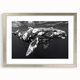 Framed wall art featuring a stunning whale design from the Marine Life collection, showcasing vibrant colors and intricate details, set in a sleek silver frame with matting. Perfect for ocean-themed decor enthusiasts.