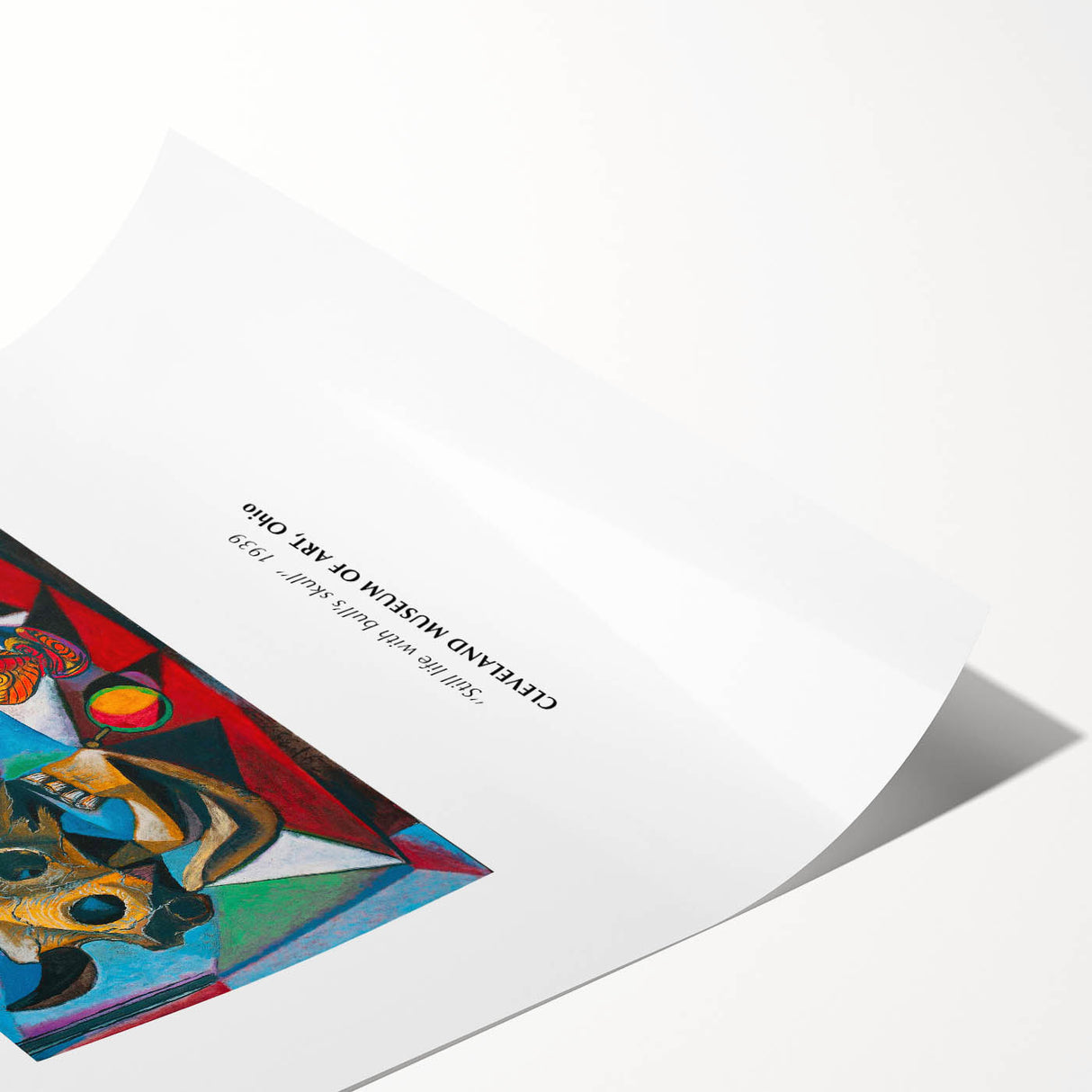 Extra large wall art featuring black line art flowers on a white background, rolled print format.