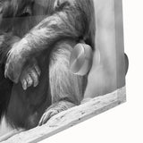 Close-up of a vibrant acrylic wall art piece featuring a monkey and chimpanzee design, showcasing intricate details and bold colors, perfect for animal lovers.