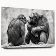 Acrylic wall art display showcasing a vibrant monkey and ape chimpanzee design, viewed from the side with decorative pins, perfect for animal-themed decor.