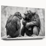 Acrylic wall art display showcasing a vibrant monkey and ape chimpanzee design, viewed from the side with decorative pins, perfect for animal-themed decor.