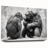 Acrylic glass wall art featuring a playful monkey and chimpanzee design, showcasing vibrant colors and intricate details in a modern side view, perfect for animal lovers.