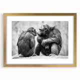 Framed wall art featuring a playful monkey and chimpanzee design, highlighted with a gold frame and matting, perfect for adding a whimsical touch to modern decor.