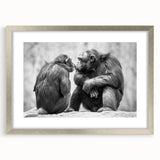 Framed wall art featuring a playful monkey and chimpanzee design in a silver mat, perfect for adding a whimsical touch to any room's decor.